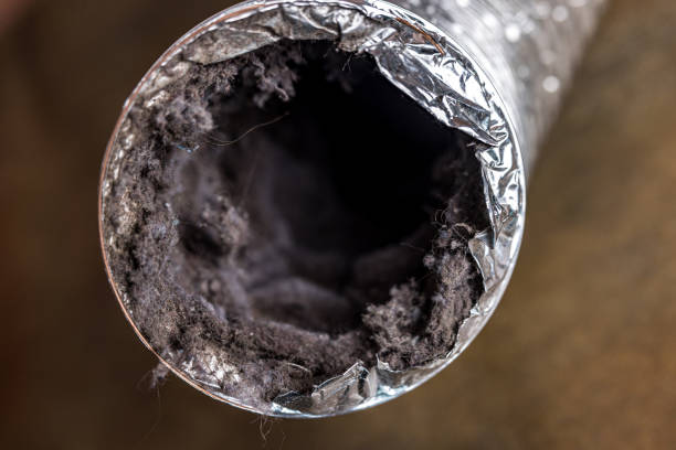 Best HVAC Maintenance and Cleaning  in Sunnyside, GA