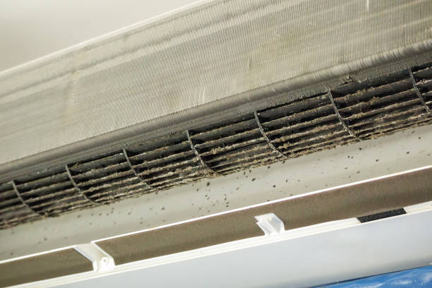 Best Air Duct Cleaning Near Me  in Sunnyside, GA